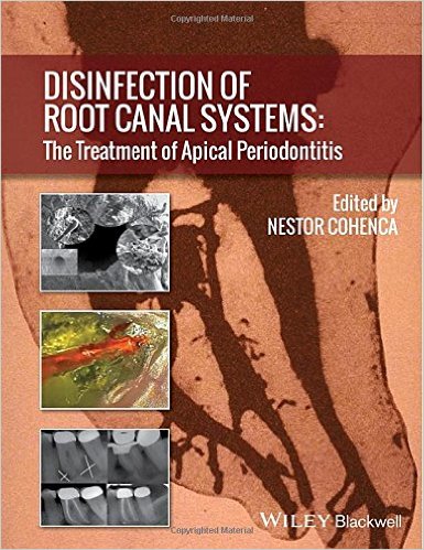Disinfection of Root Canal Systems : The Treatment of Apical Periodontitis