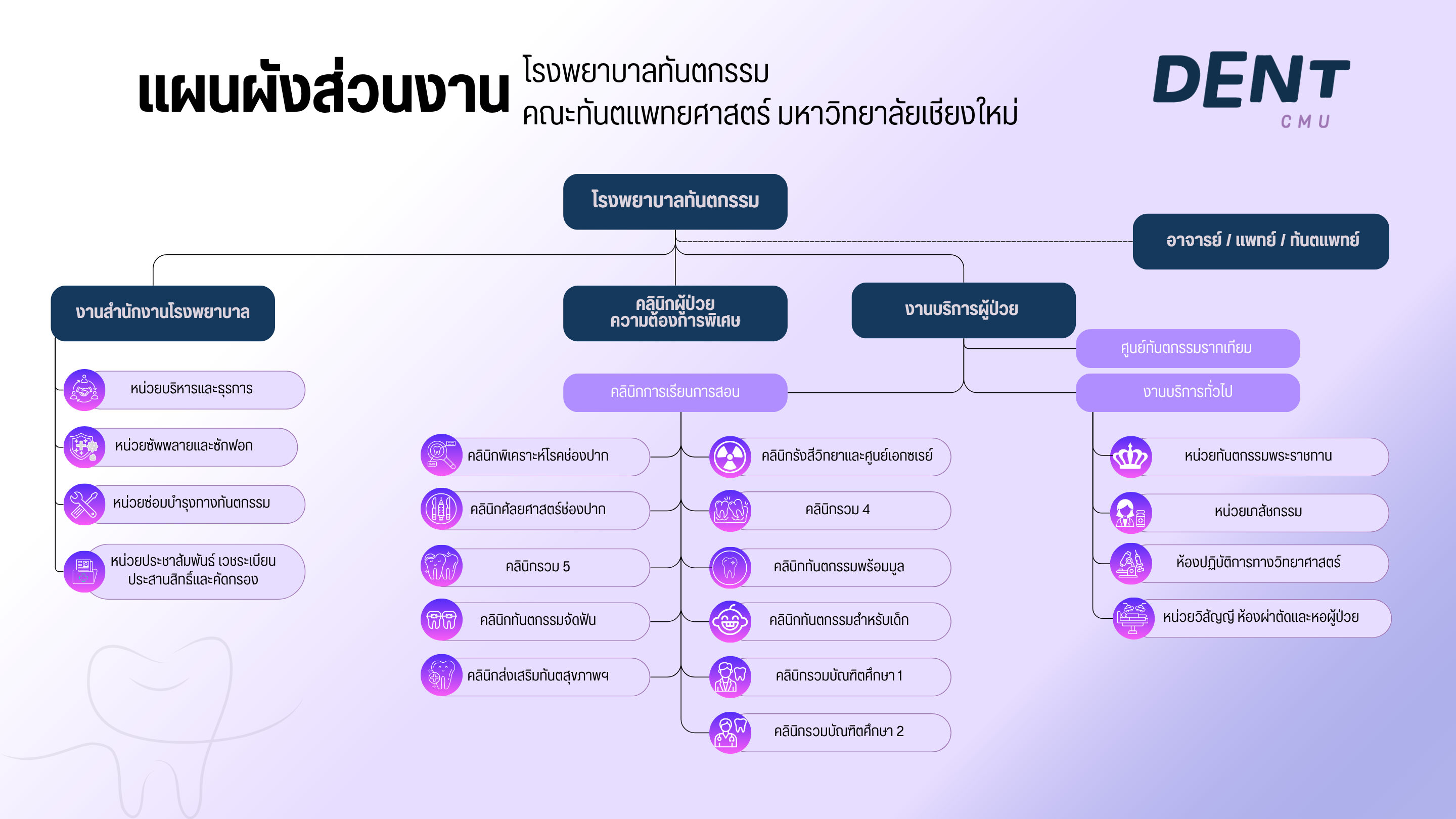 โครงสร้างบริหารหน่วยภายในโรงพยาบาลทันตกรรม